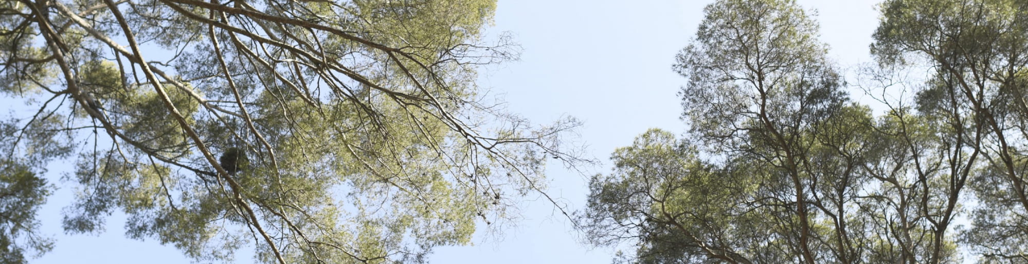 Pourquoi ne faisons-nous pas de soldes?