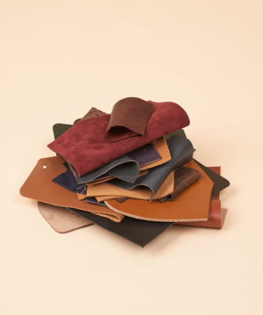 Le Projet M, par Delphine Lopez