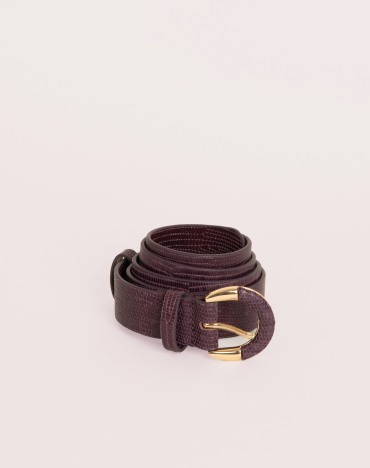 Small Helena Fig Lizard