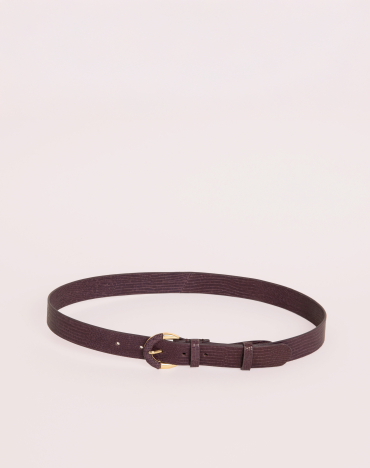 Small Helena Fig Lizard