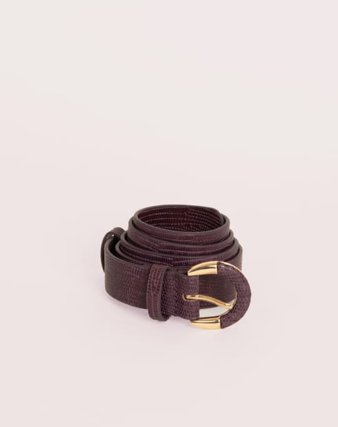 Small Helena Fig Lizard