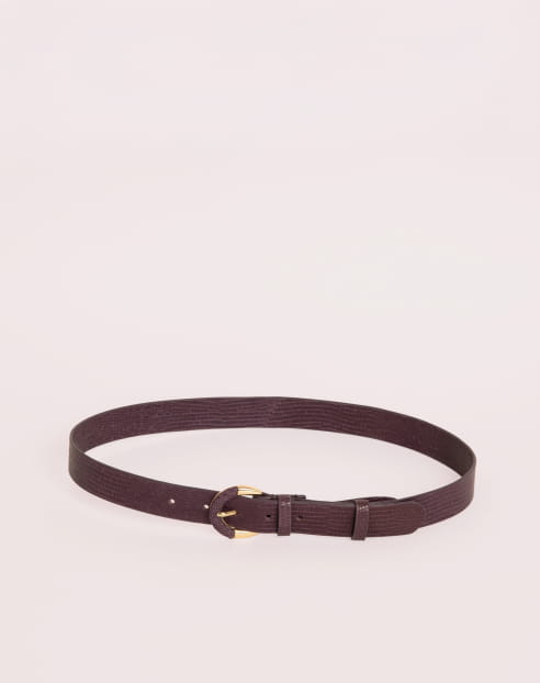 Small Helena Fig Lizard