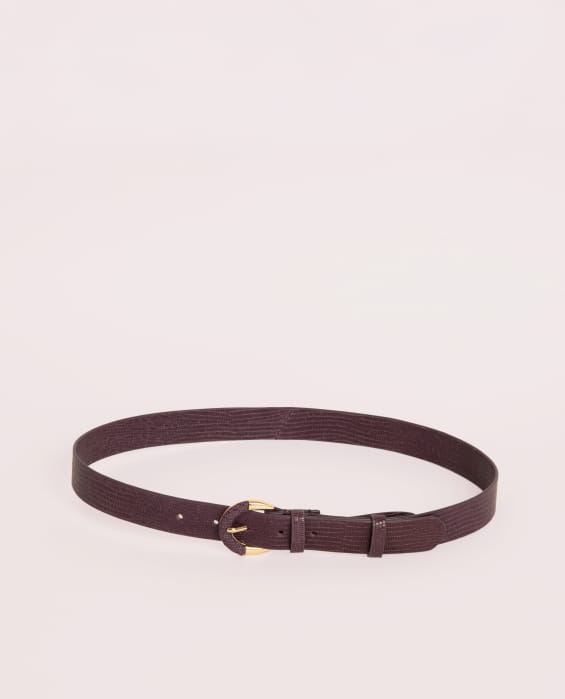 Small Helena Fig Lizard