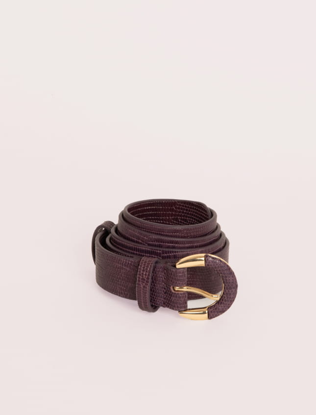 Small Helena Fig Lizard