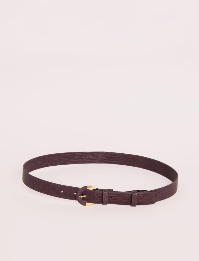 Small Helena Fig Lizard